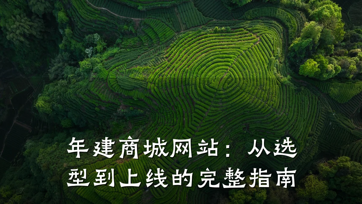 年建商城网站：从选型到上线的完整指南