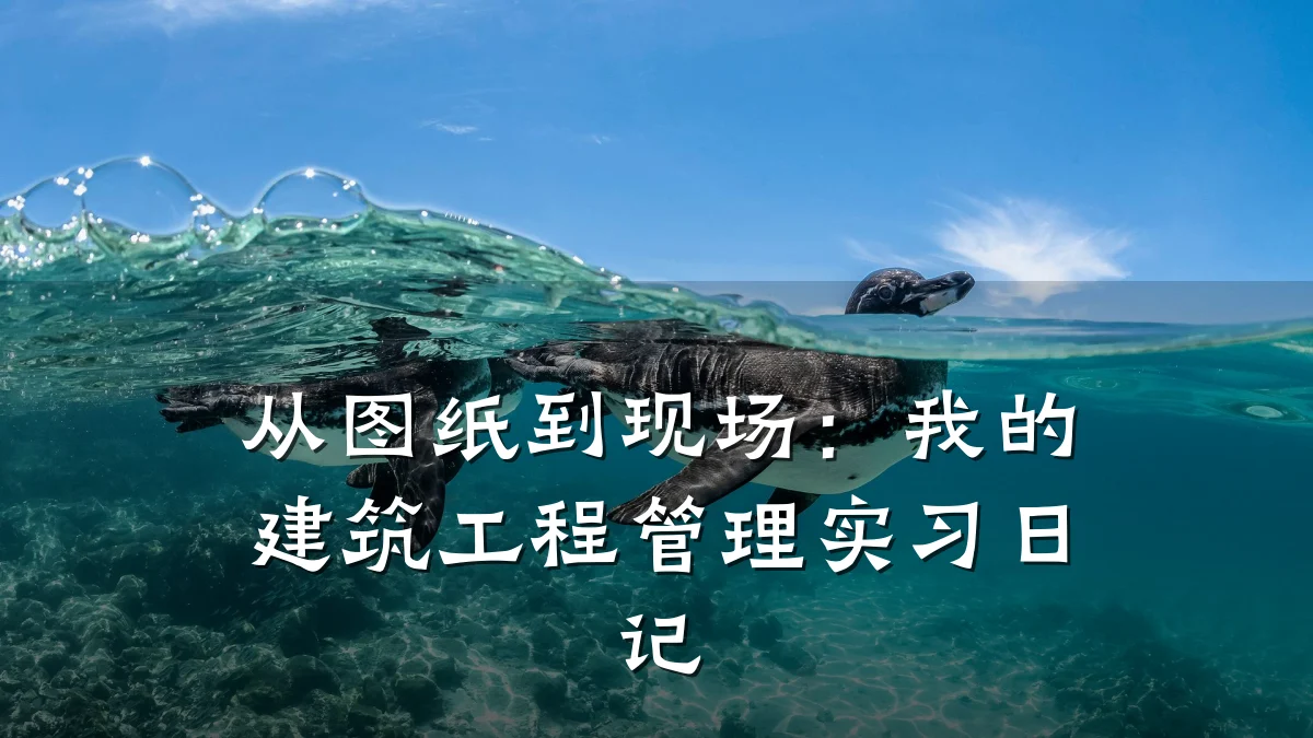 从图纸到现场:我的建筑工程管理实习日记