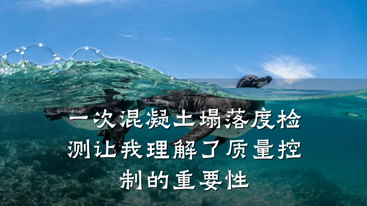 一次混凝土塌落度检测让我理解了质量控制的重要性