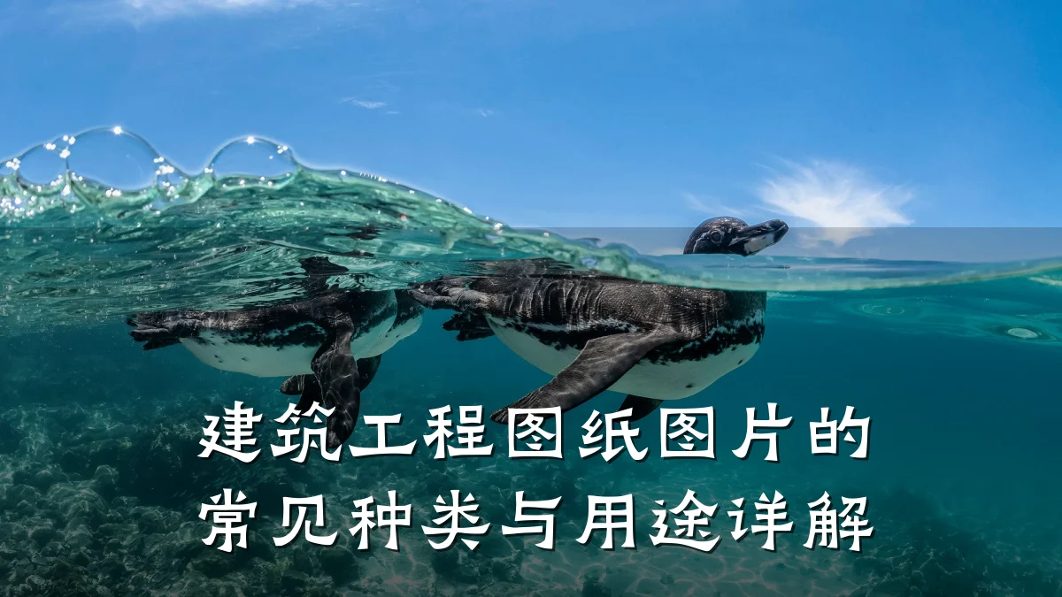 建筑工程图纸图片的常见种类与用途详解