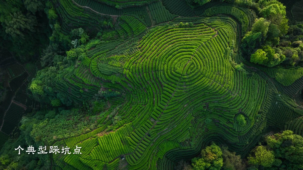 个典型踩坑点