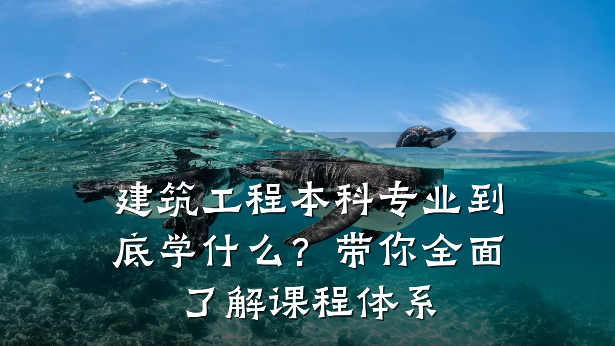 建筑工程本科专业到底学什么？带你全面了解课程体系