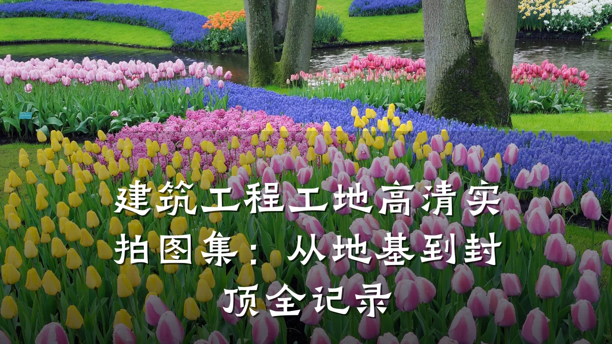 建筑工程工地高清实拍图集：从地基到封顶全记录