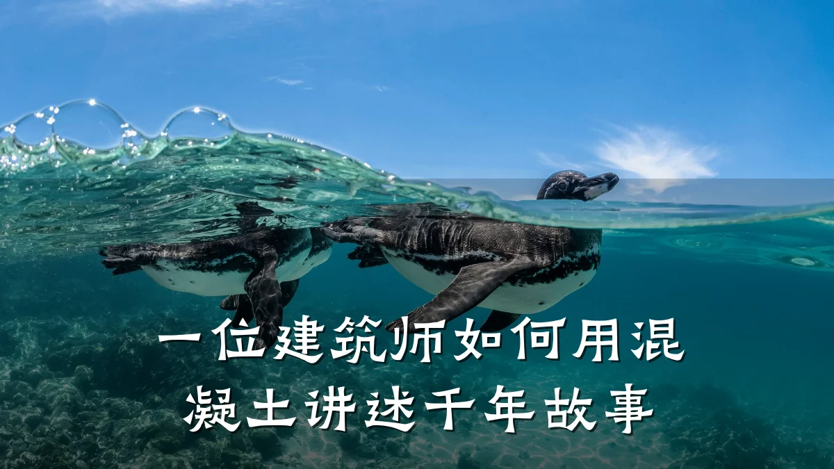 一位建筑师如何用混凝土讲述千年故事