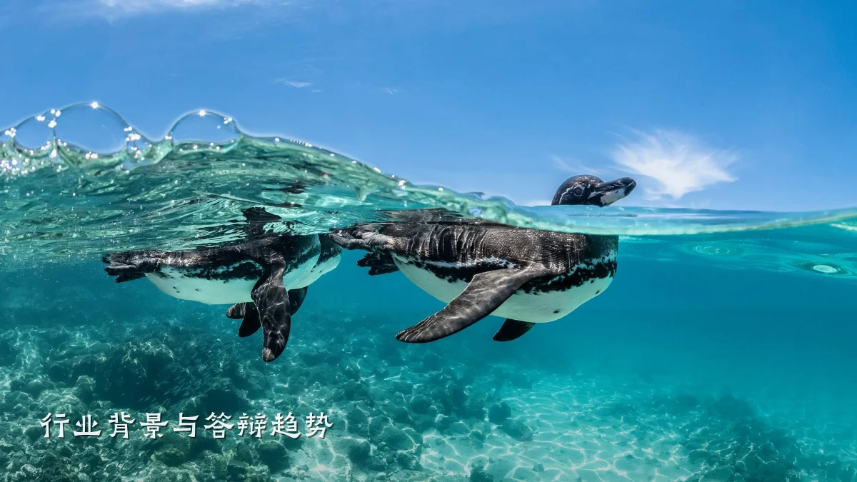 行业背景与答辩趋势
