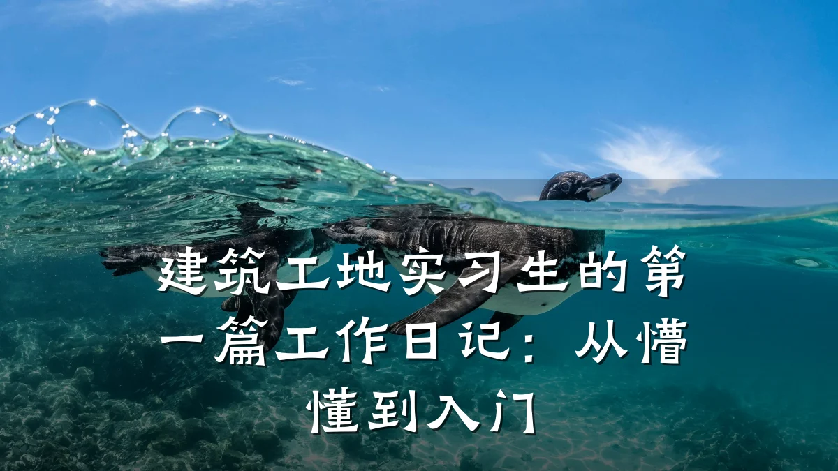 建筑工地实习生的第一篇工作日记：从懵懂到入门