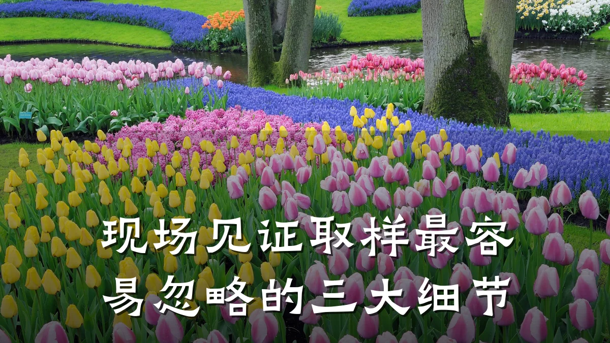 现场见证取样最容易忽略的三大细节