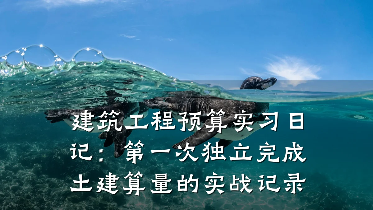 建筑工程预算实习日记：第一次独立完成土建算量的实战记录