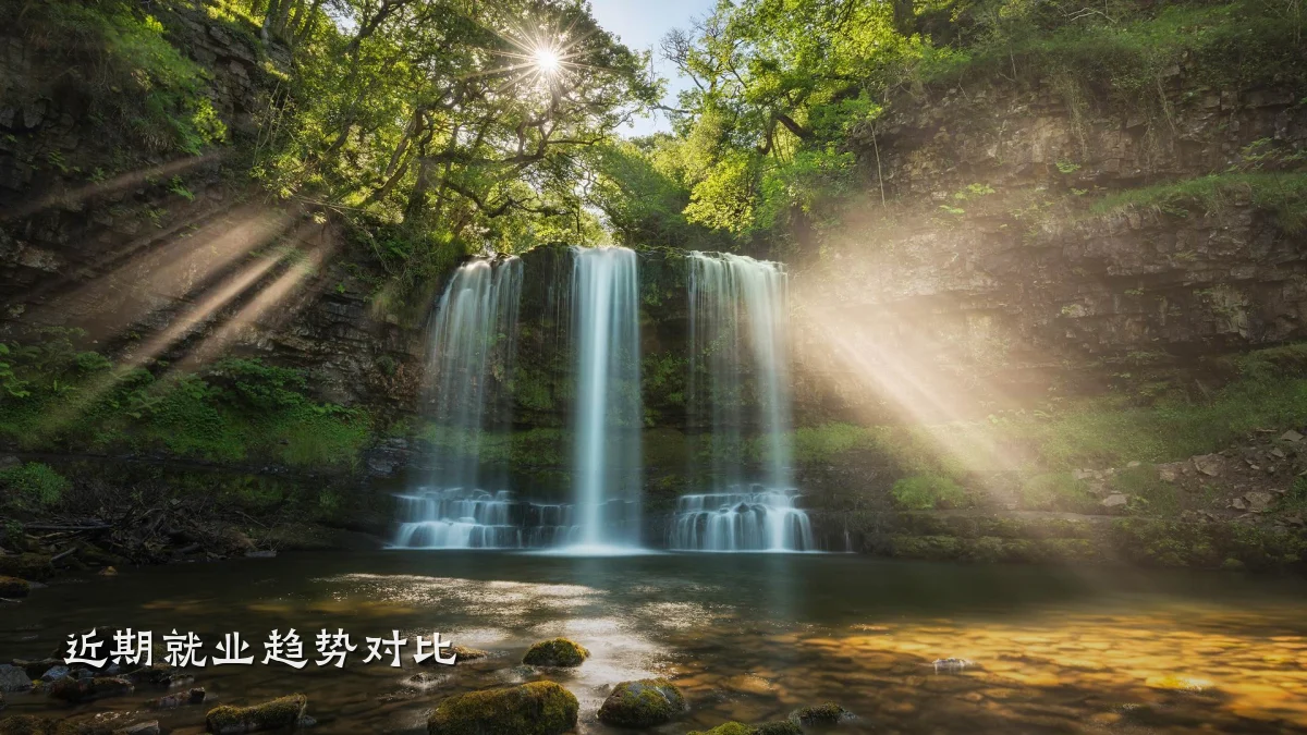 近期就业趋势对比