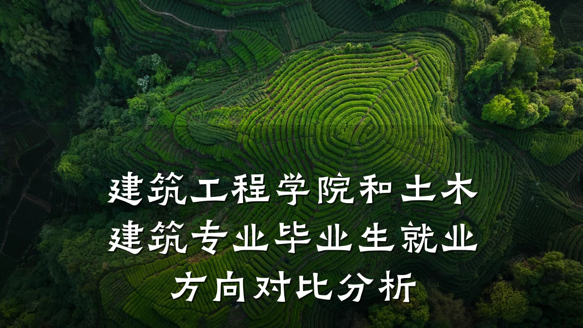 建筑工程学院和土木建筑专业毕业生就业方向对比分析