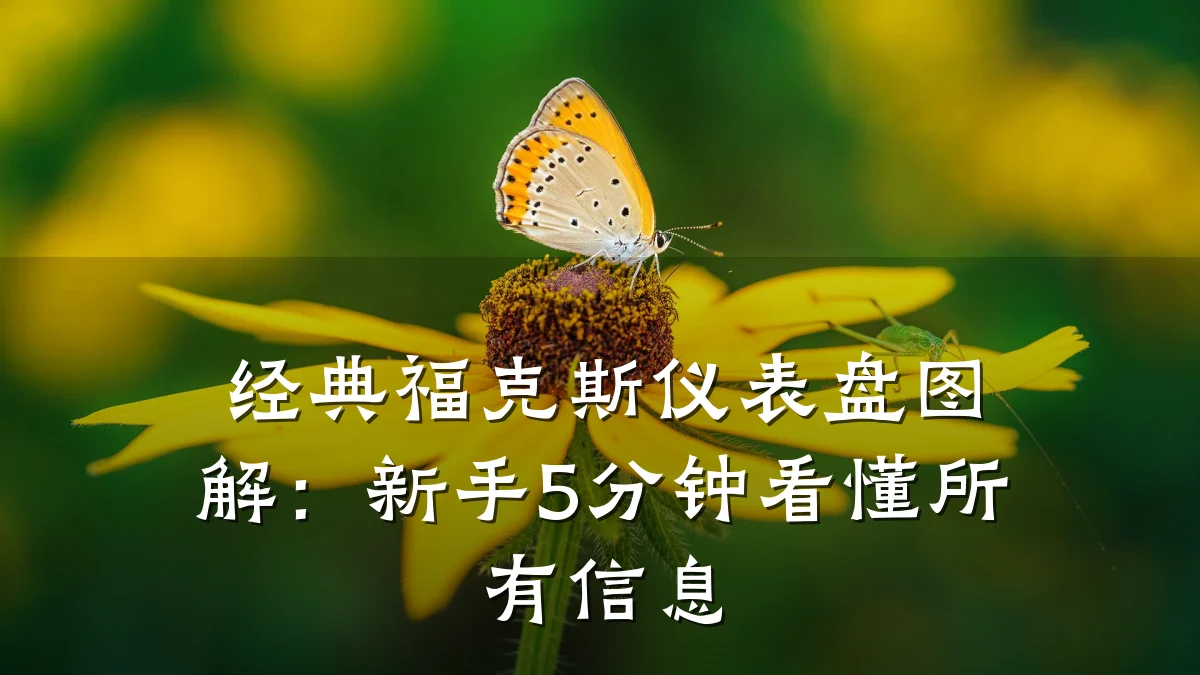 经典福克斯仪表盘图解：新手5分钟看懂所有信息