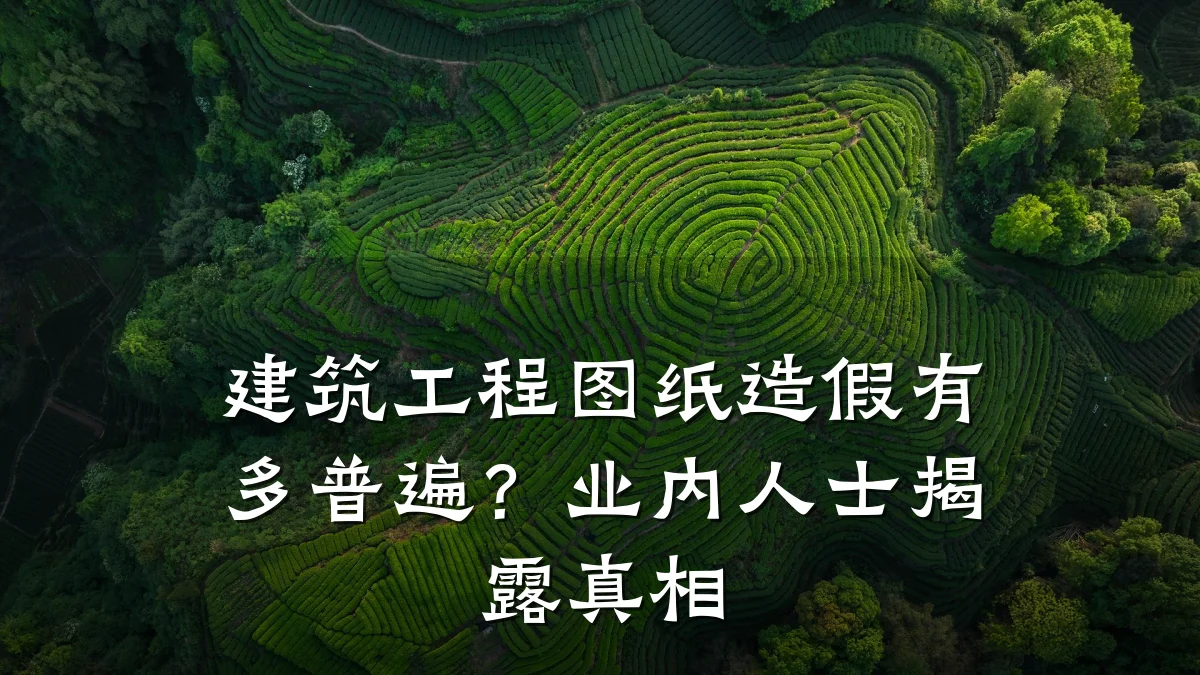 建筑工程图纸造假有多普遍?业内人士揭露真相