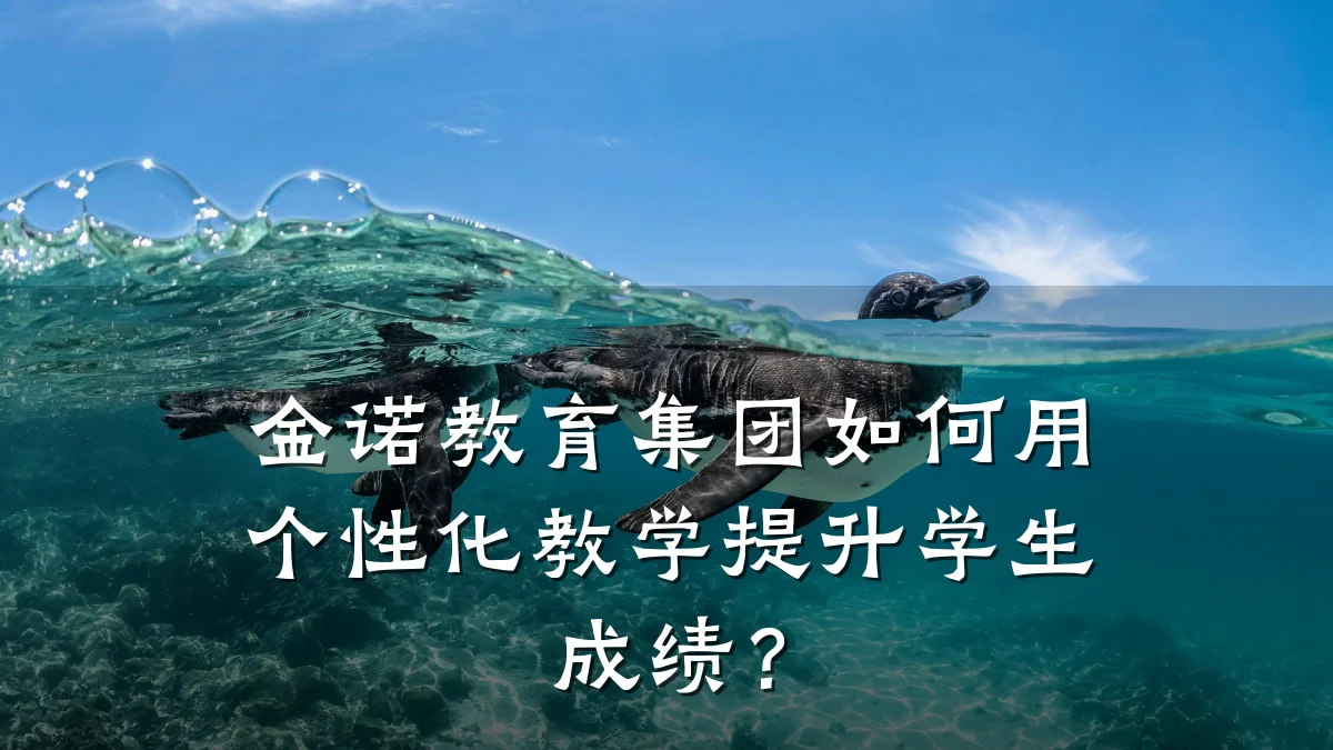 金诺教育集团如何用个性化教学提升学生成绩？
