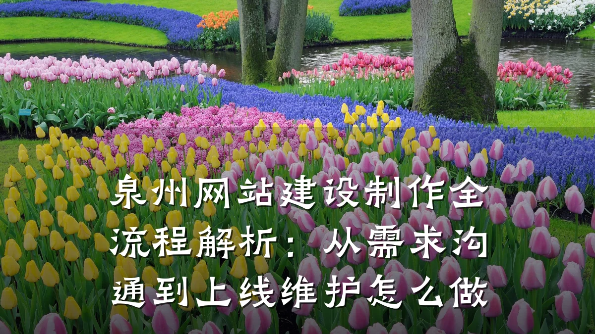 泉州网站建设制作全流程解析：从需求沟通到上线维护怎么做