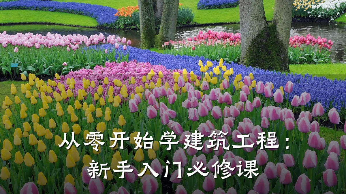 从零开始学建筑工程:新手入门必修课