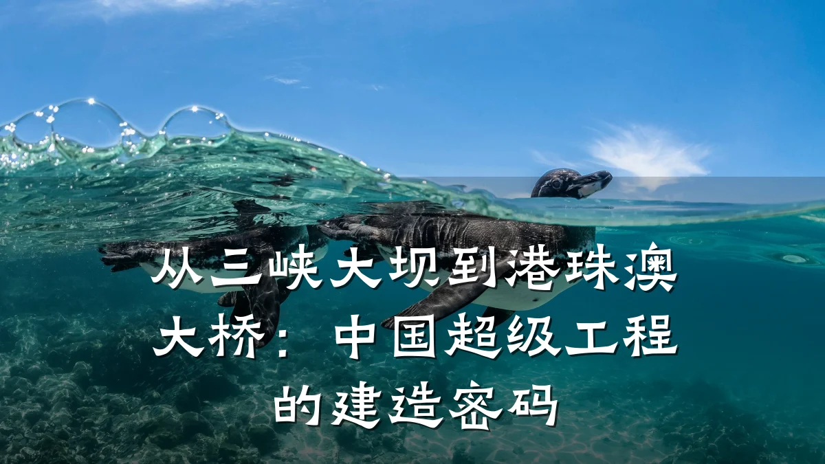 从三峡大坝到港珠澳大桥:中国超级工程的建造密码
