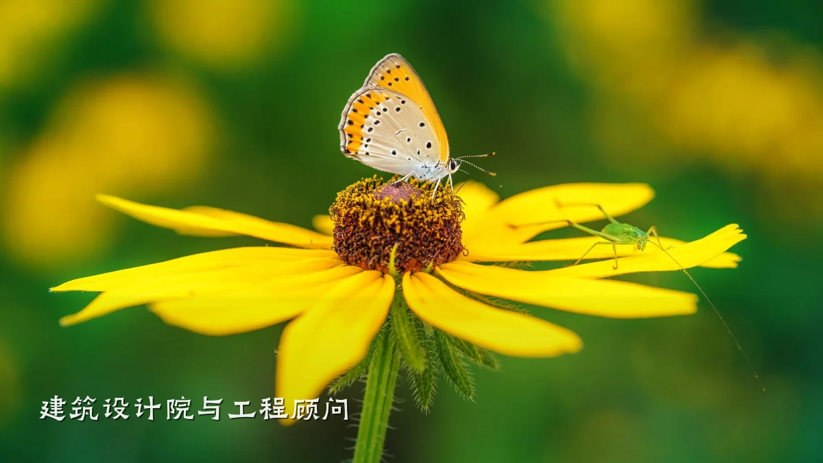 建筑设计院与工程顾问
