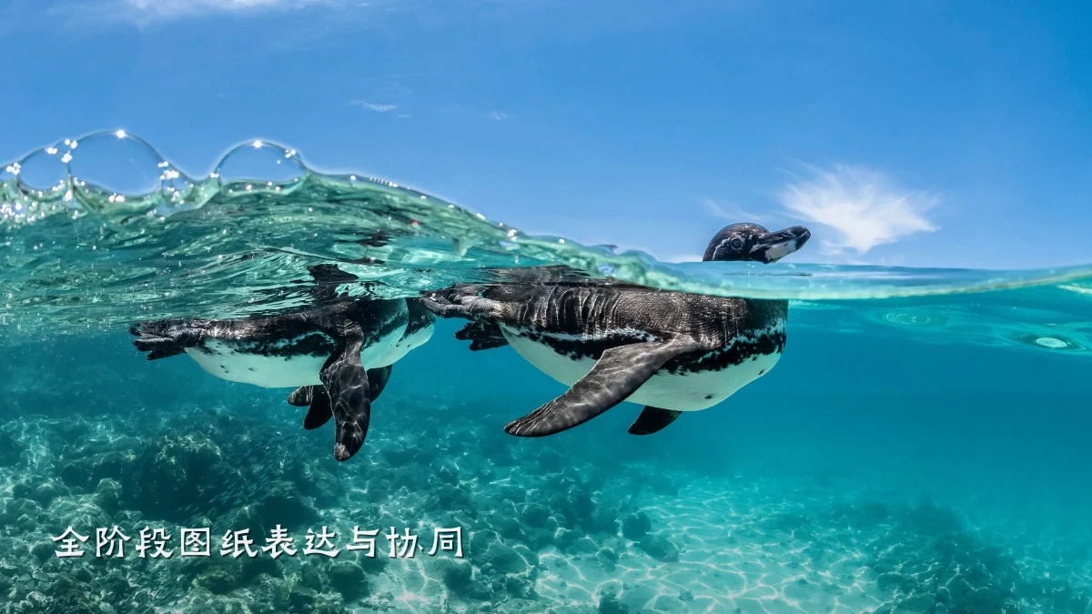 全阶段图纸表达与协同