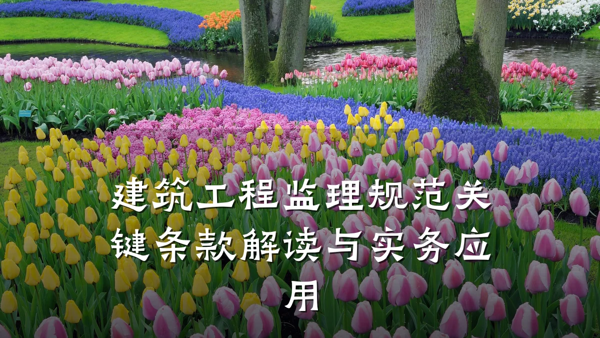 建筑工程监理规范关键条款解读与实务应用