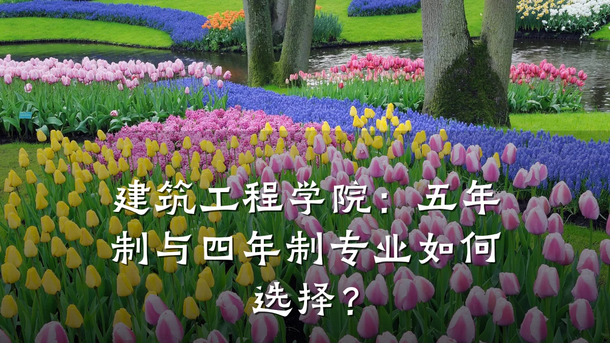 建筑工程学院:五年制与四年制专业如何选择?