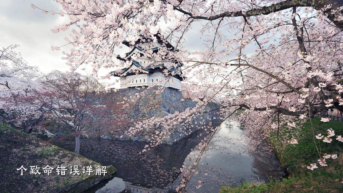 个致命错误详解