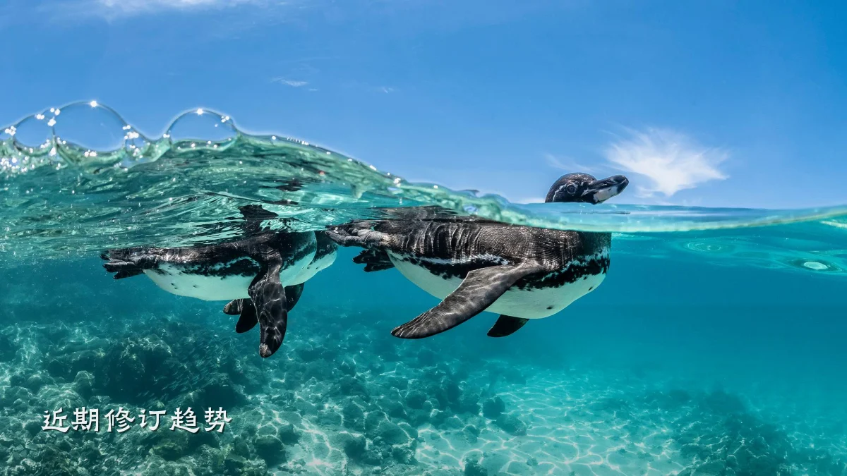 近期修订趋势