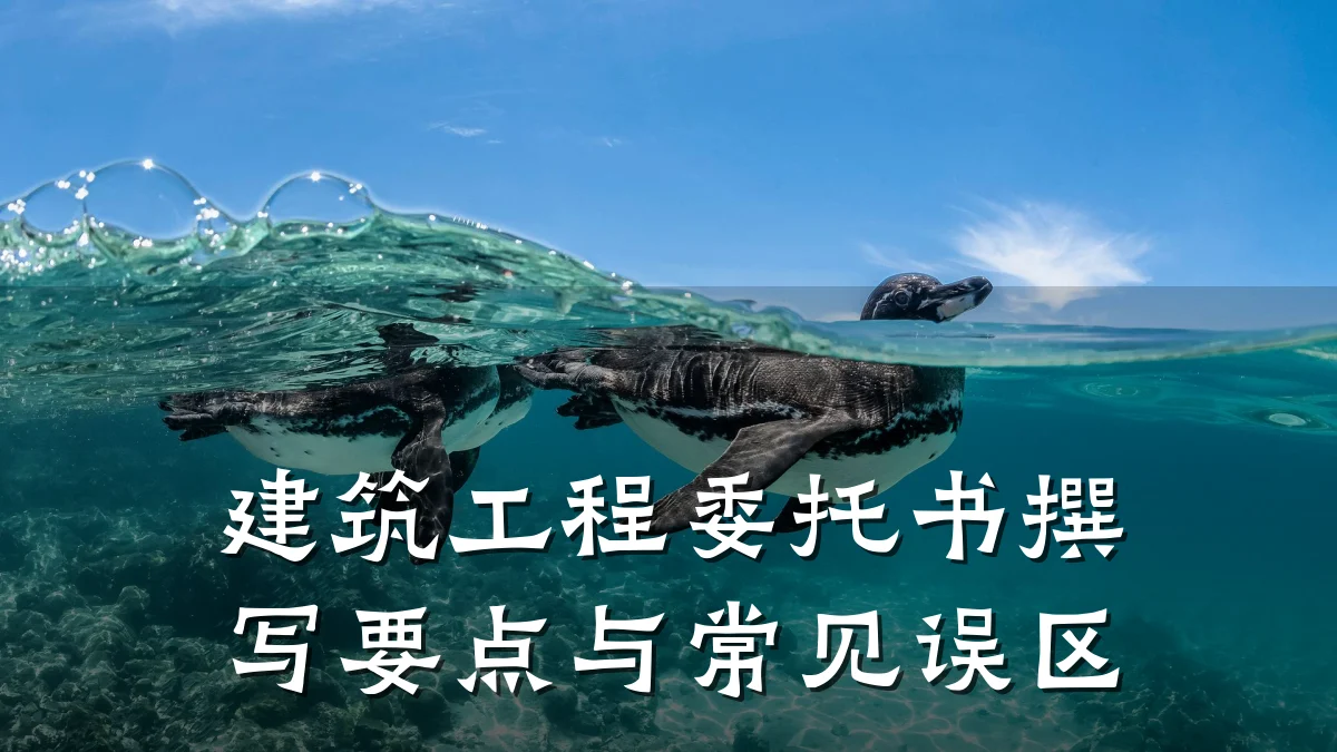建筑工程委托书撰写要点与常见误区