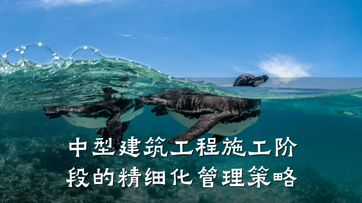中型建筑工程施工阶段的精细化管理策略