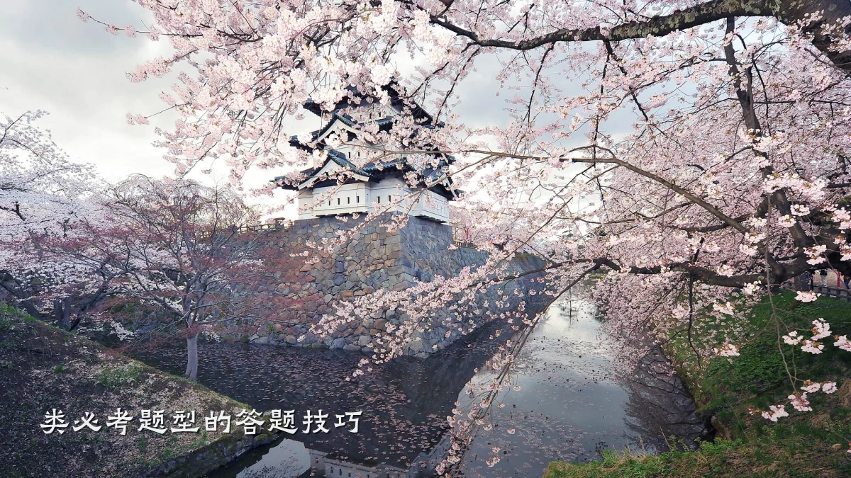 类必考题型的答题技巧