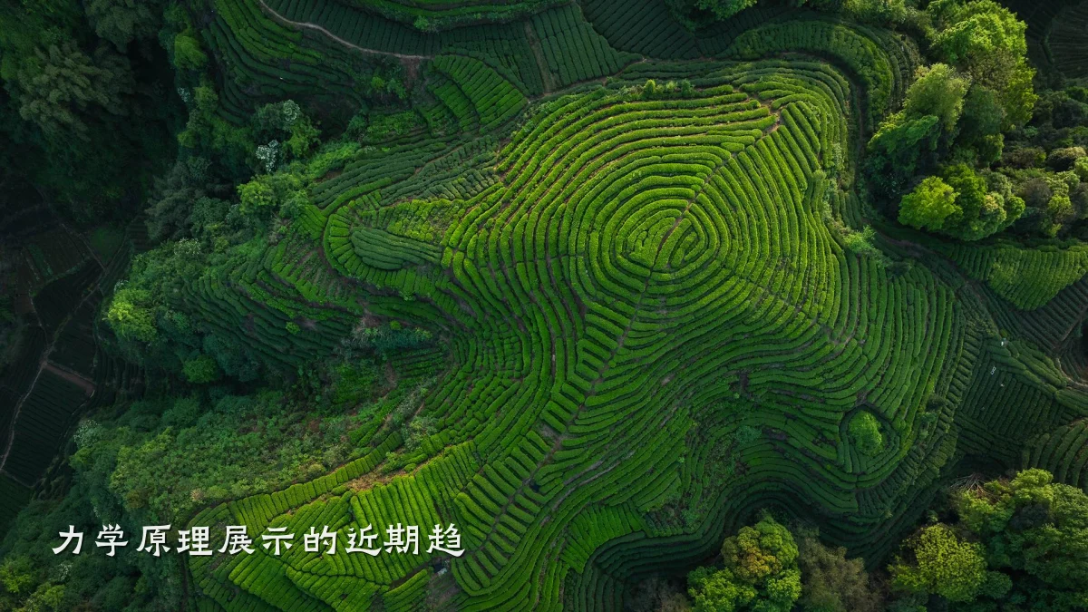 力学原理展示的近期趋