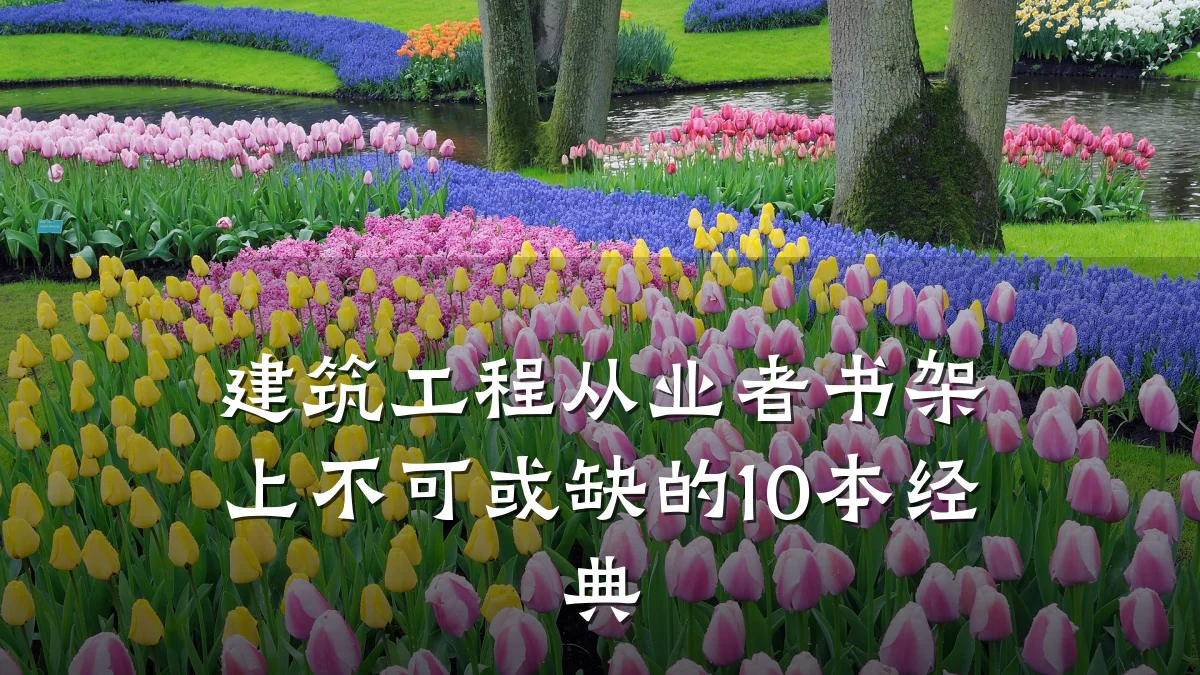 建筑工程从业者书架上不可或缺的10本经典