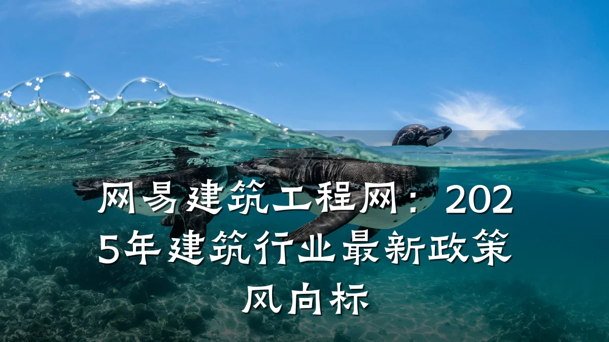 网易建筑工程网:2025年建筑行业最新政策风向标