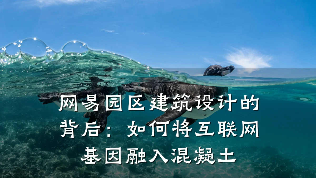 网易园区建筑设计的背后:如何将互联网基因融入混凝土