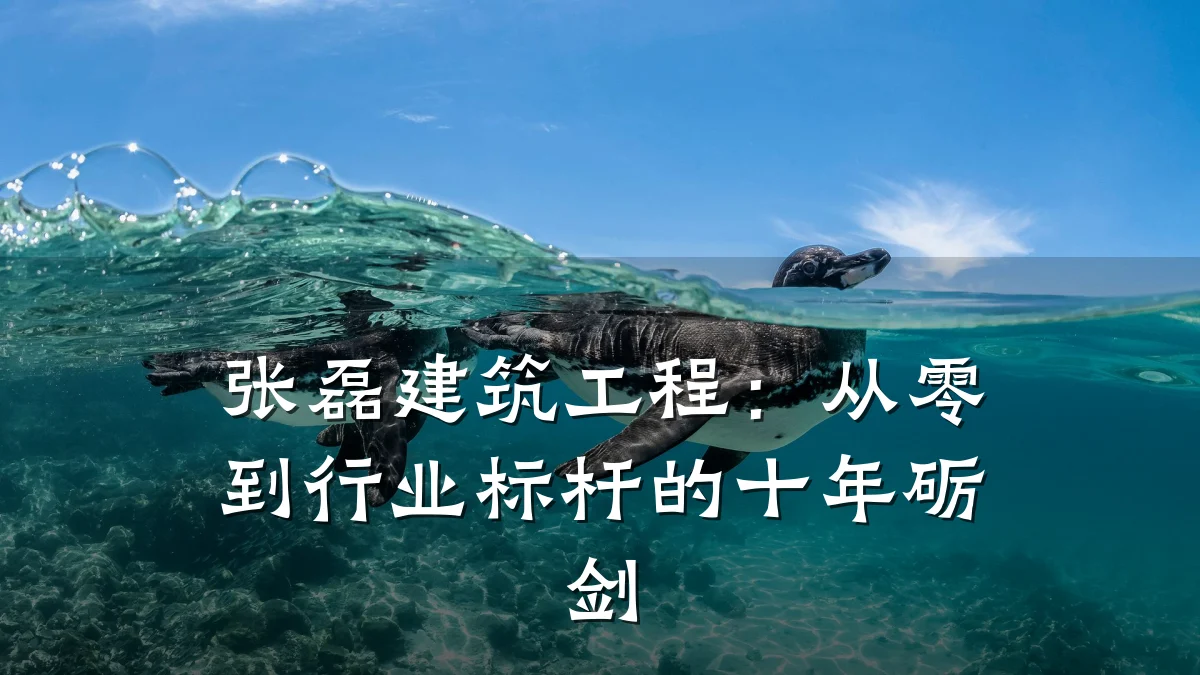 张磊建筑工程:从零到行业标杆的十年砺剑