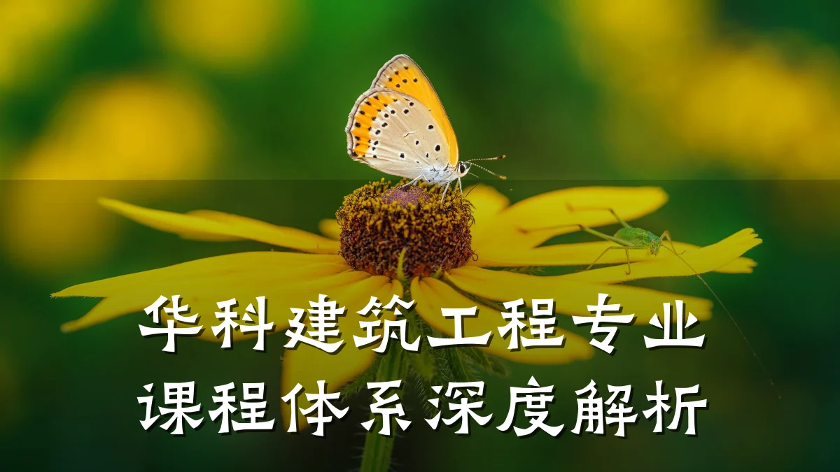 华科建筑工程专业课程体系深度解析