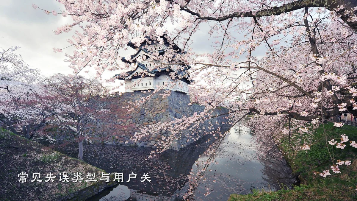 常见失误类型与用户关