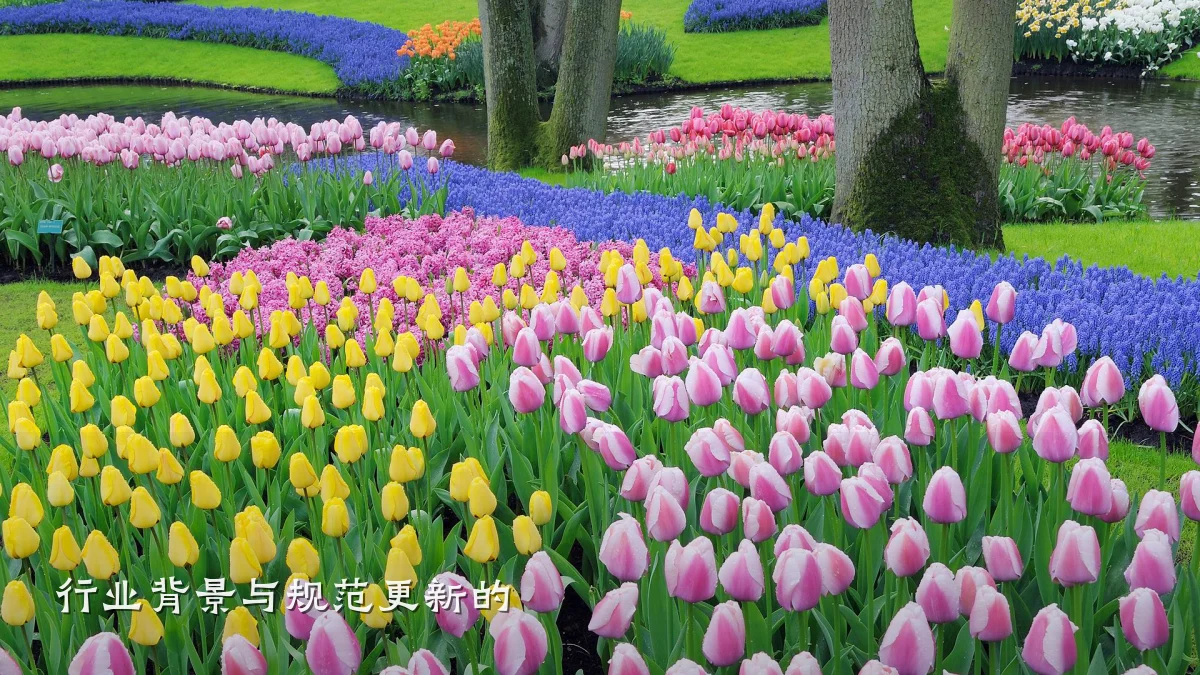 行业背景与规范更新的