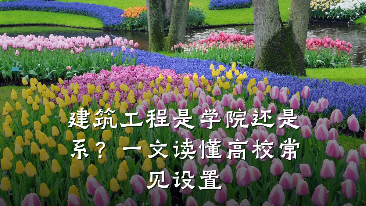 建筑工程是学院还是系?一文读懂高校常见设置