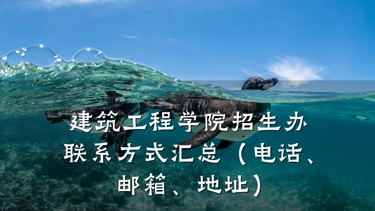 建筑工程学院招生办联系方式汇总(电话、邮箱、地址)