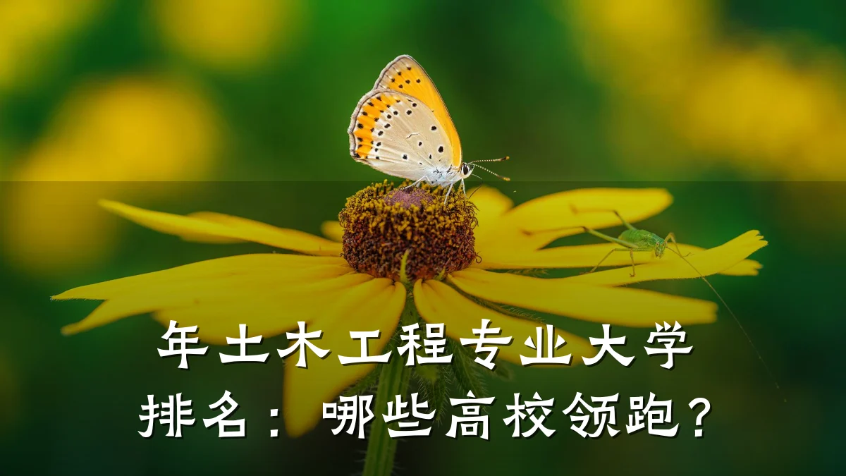 年土木工程专业大学排名：哪些高校领跑？