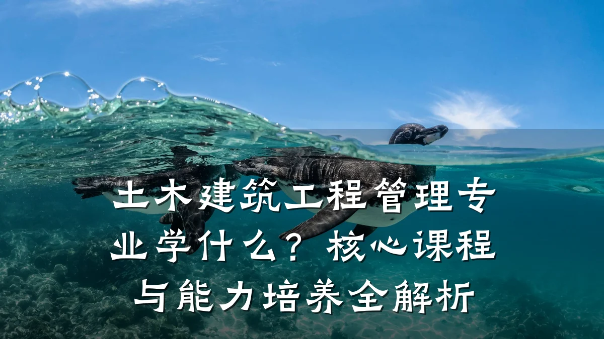 土木建筑工程管理专业学什么?核心课程与能力培养全解析