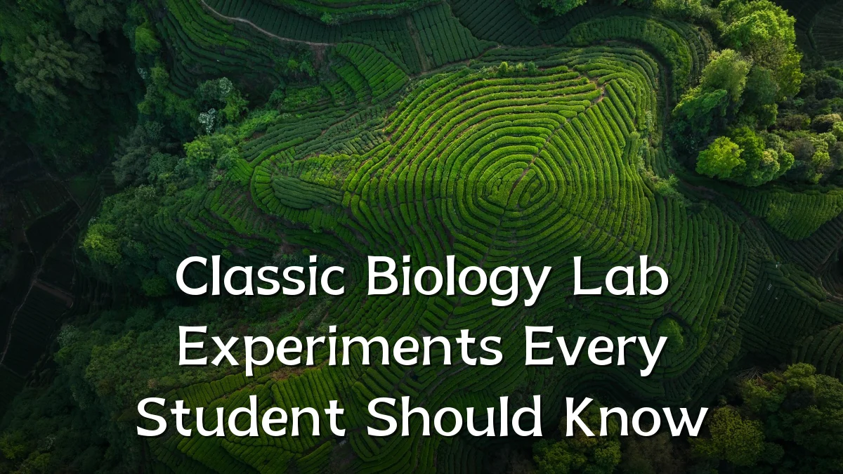 Classic Biology Lab Experiments Every Student Should Know