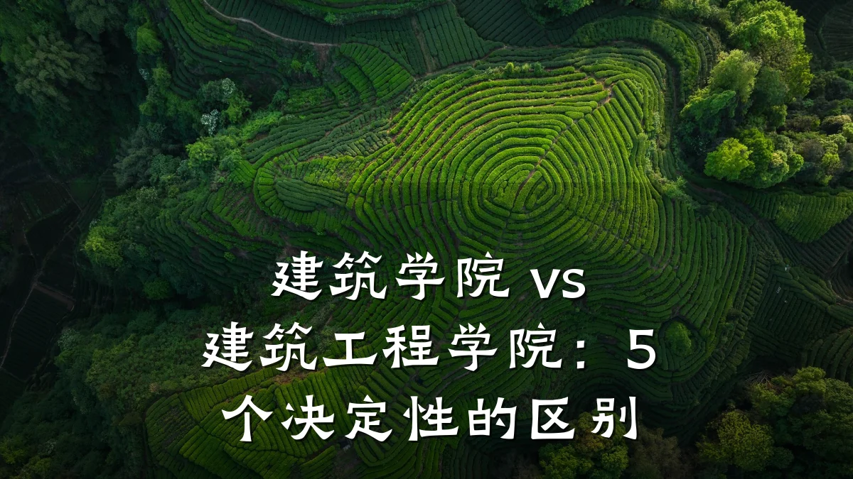 建筑学院 vs 建筑工程学院:5 个决定性的区别