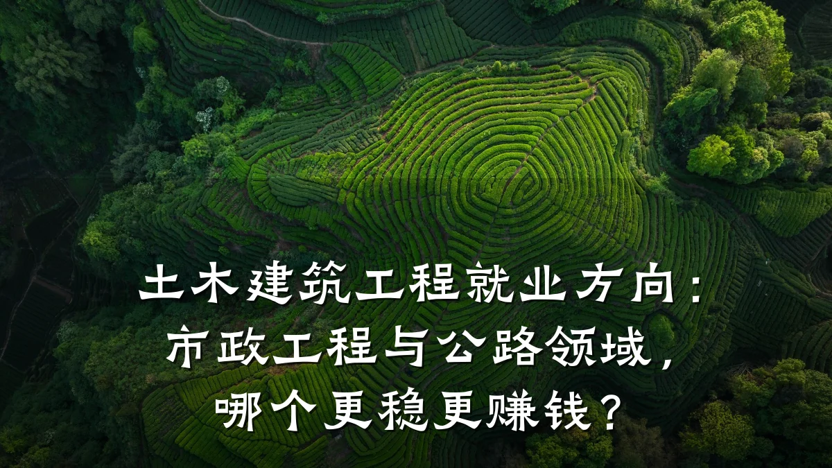 土木建筑工程就业方向:市政工程与公路领域,哪个更稳更赚钱?