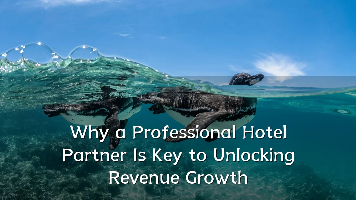 Why a Professional Hotel Partner Is Key to Unlocking Revenue Growth