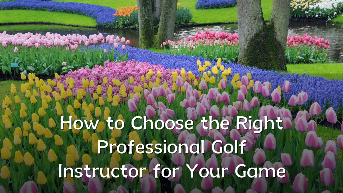 How to Choose the Right Professional Golf Instructor for Your Game