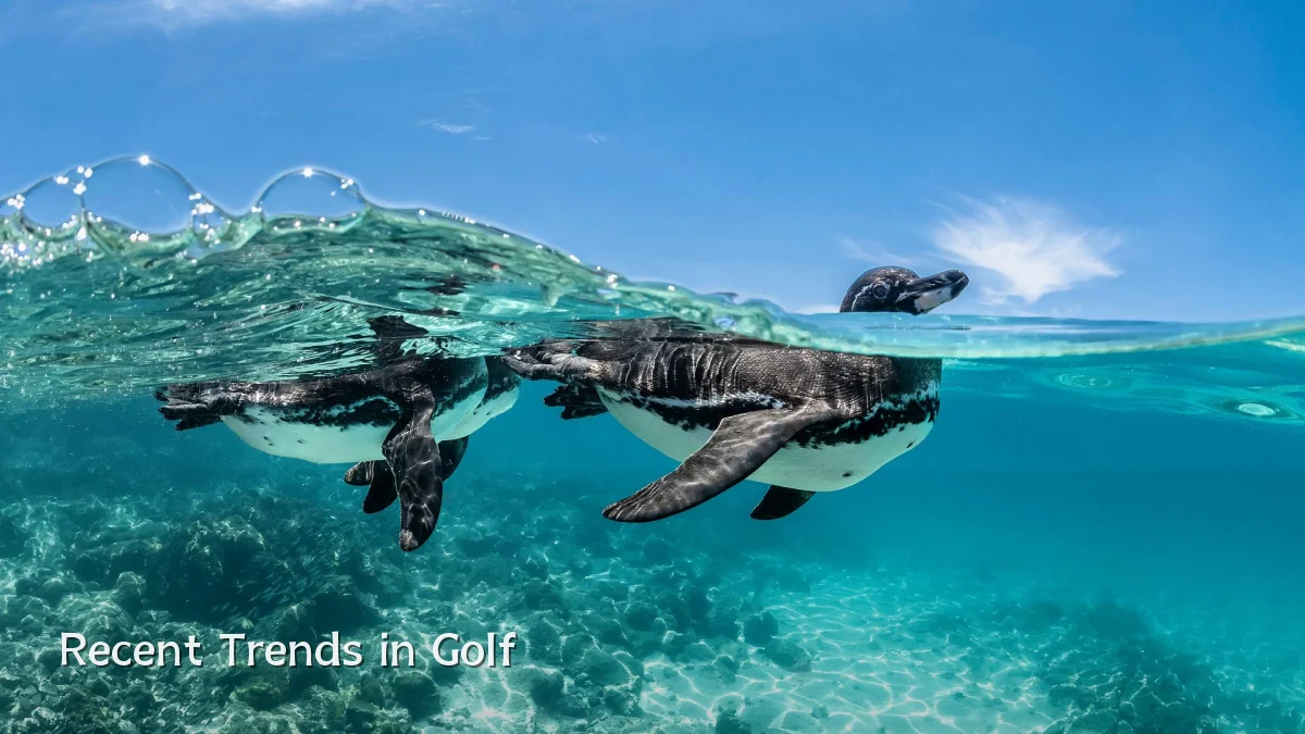 Recent Trends in Golf