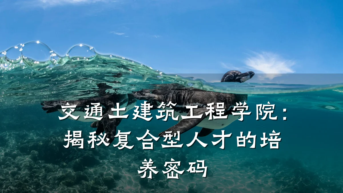 交通土建筑工程学院:揭秘复合型人才的培养密码