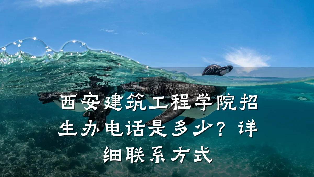 西安建筑工程学院招生办电话是多少?详细联系方式