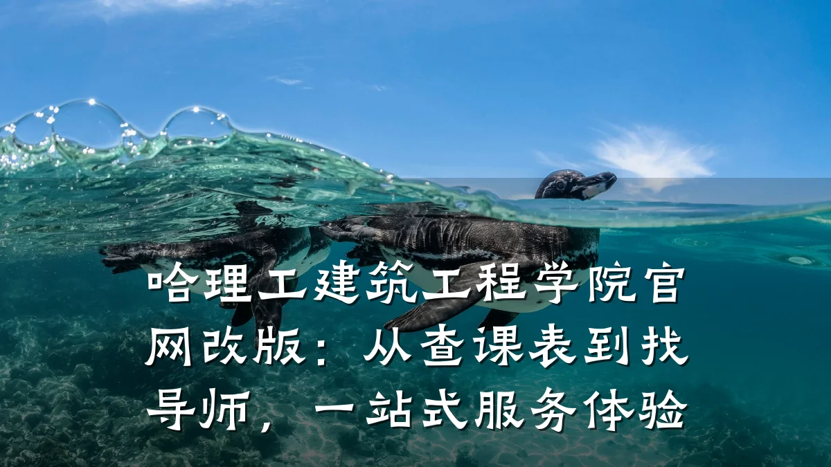 哈理工建筑工程学院官网改版:从查课表到找导师,一站式服务体验